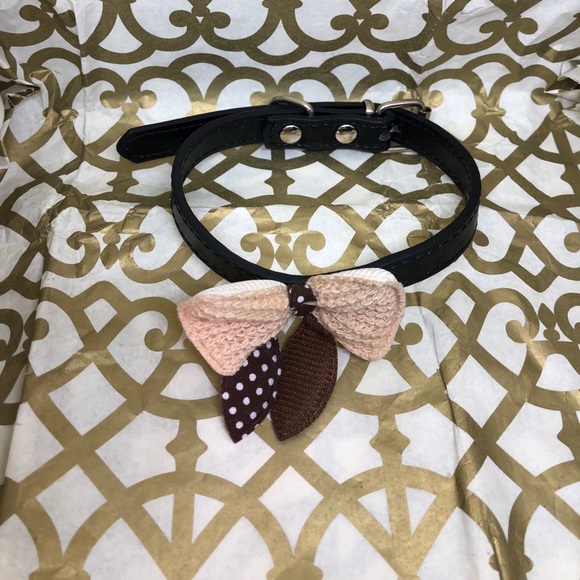 Cute and Unique Dog Collar 🐕✨ NWOT - Picture 3 of 16